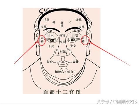 夫妻宮 天虛|紫薇十二宮之夫妻宮